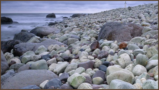 eco photo